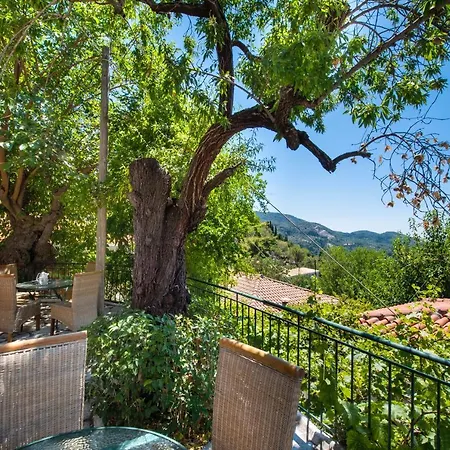 Villa Almondtree House Exanthia - Private Parking Esterno foto